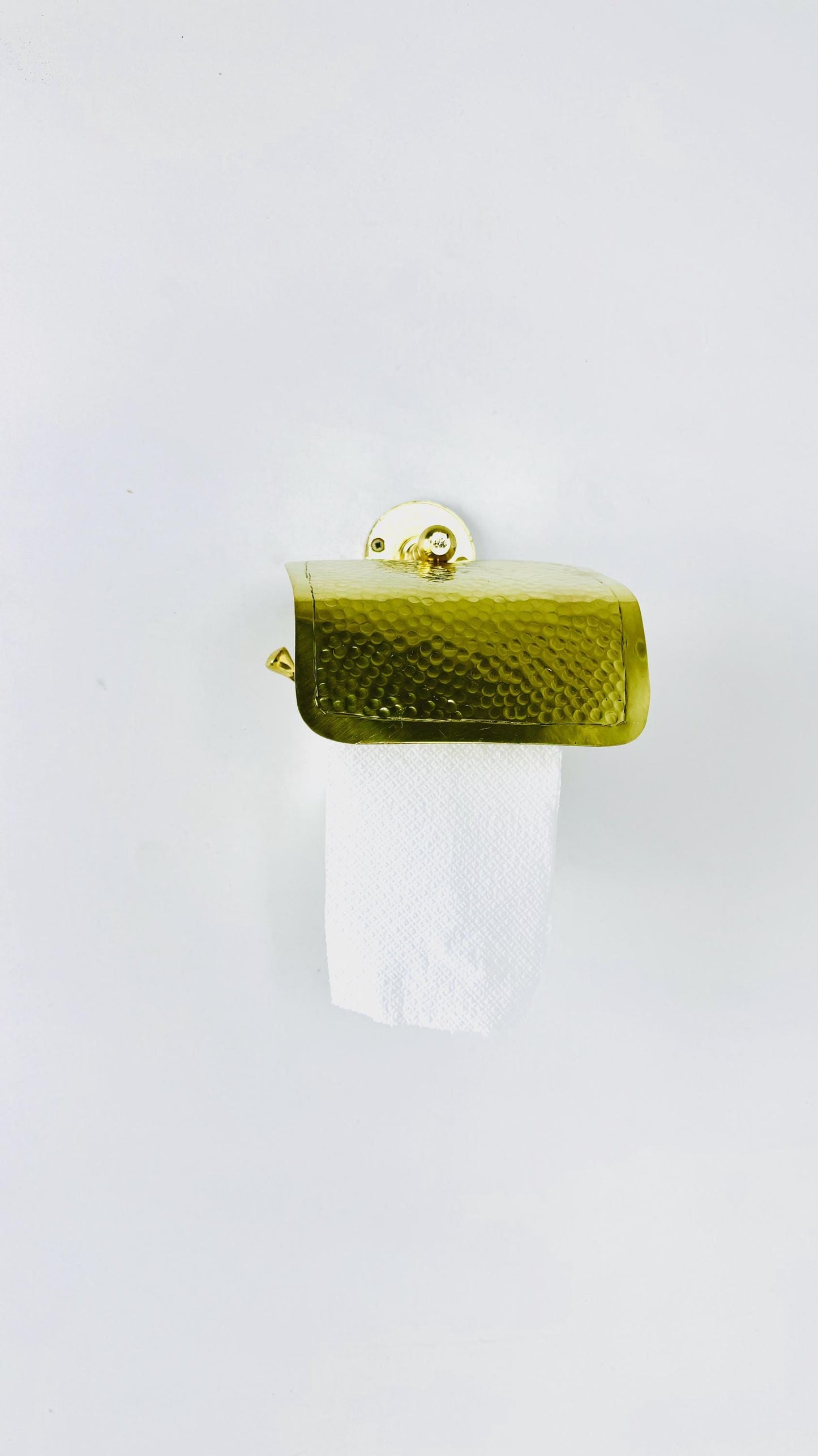 Brass Wall-Mounted Toilet Paper Holder - Gold Finish with Cover