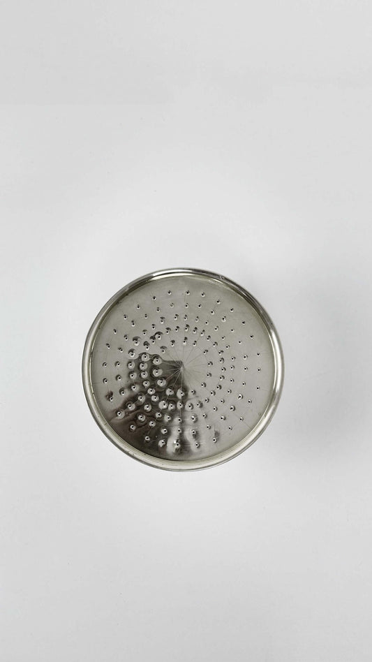 Silver Shower Head