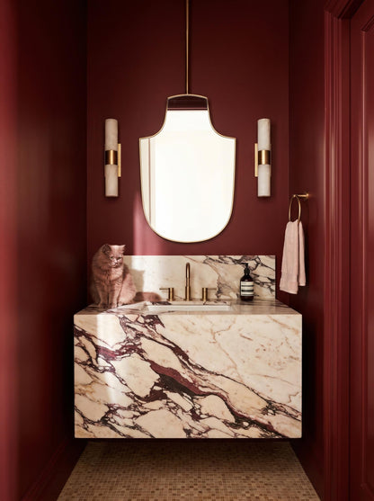 Hanging brass vanity mirror in dramatic burgundy powder room with marble sink