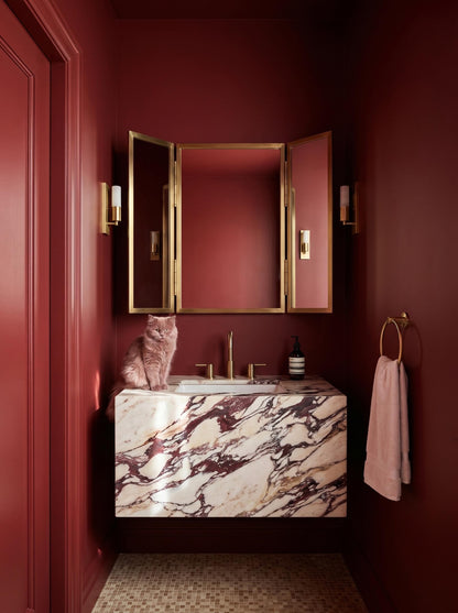 Brass folding mirror in moody red powder room.
